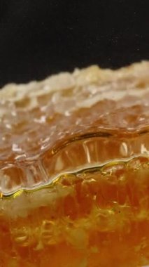 Dikey video. Bir parça bal peteği cama düşer ve bal yavaşça yayılır. Aşağıdan yakın görüntü.