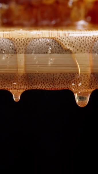 バーティカルビデオ 木製のボードから黒い背景にドロップされた蜂蜜の滴 カメラの傾きとクローズアップ — ストック動画