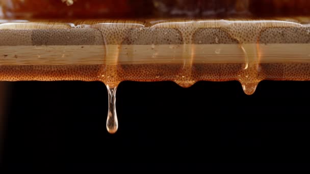 木製の板からゆっくりと1つずつドロップする蜂蜜の滴 黒い背景に対してクローズアップショット — ストック動画