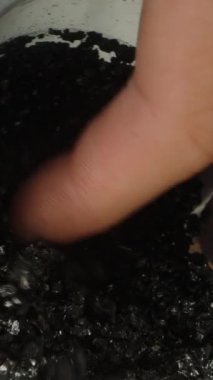 Dikey video. Kullanılmış karbon su filtresi, elimde kömür parçacıkları öğütüyorum. Makro.