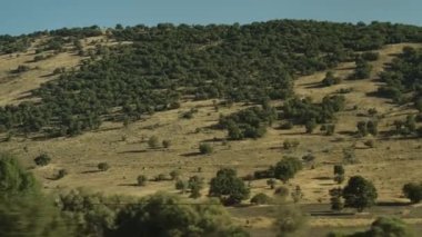 Hareket halindeki bir arabadan dağların eteklerindeki kırsal arazi manzarası.