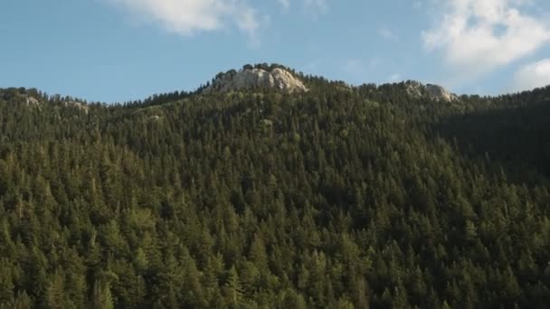 Ένα Ψηλό Βραχώδες Βουνό Καλυμμένο Ολοκλήρου Πεύκα Που Ταξιδεύει Αυτοκίνητο — Αρχείο Βίντεο