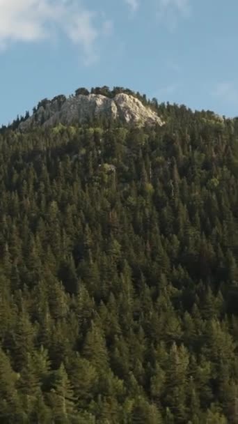 Vídeo Vertical Uma Montanha Rochosa Alta Coberta Inteiramente Pinheiros Viajando — Vídeo de Stock
