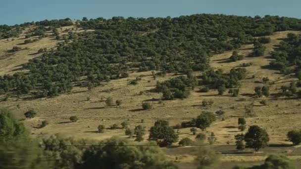 Vista Los Campos Rurales Pie Las Montañas Desde Coche Movimiento — Vídeos de Stock