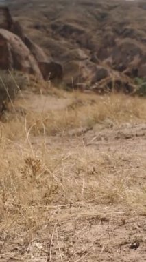 Dikey video. Çölün bozkırlarında yolculuk ederken, kamera yükselir ve kameraya yansıyan güneş ışığıyla uzak yüksek bir dağın görüntüsünü ortaya çıkarır..