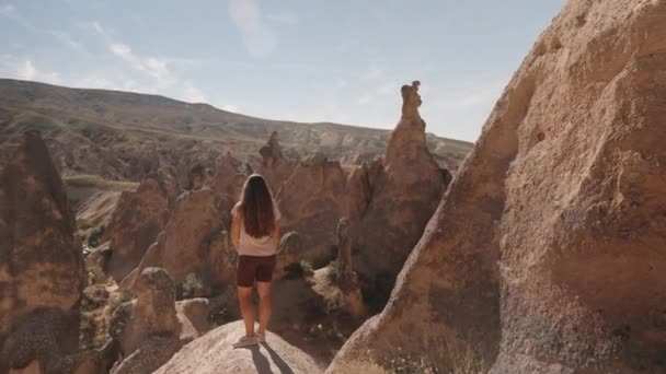 Una Mujer Joven Está Parada Una Roca Masiva Medio Altos — Vídeos de Stock