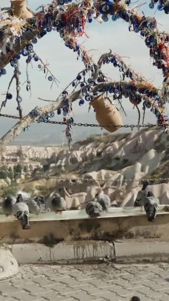 Dikey Video Bir Güvercin Besleyicisi Yüksek Dağlarda Kanyondaki Antik Bir — Stok video