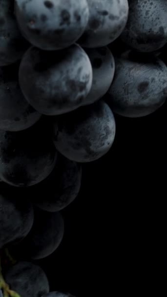 Вертикальне Відео Круглі Великі Ягоди Чорного Винограду Дві Бантики Чорному — стокове відео