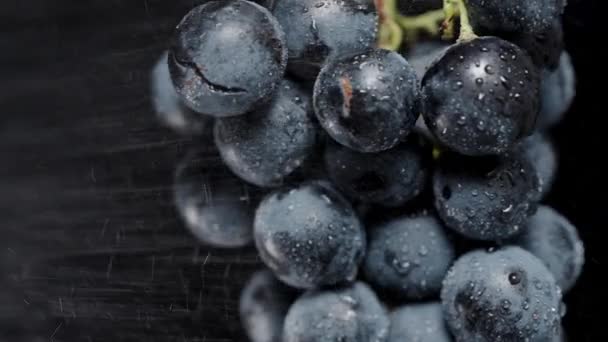 Waterdruppels Zwarte Druiven Bessen Water Spat Clusters Slow Motion — Stockvideo