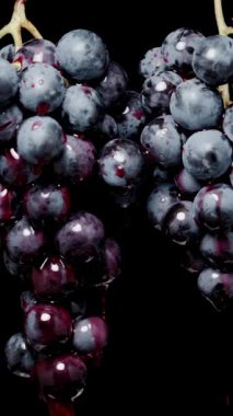 Dikey video. Mavi yuvarlak böğürtlenli iki üzüm kümesi, siyah bir zemin üzerinde kırmızı meyve suyu ya da şarap akan, ağır çekimde. İzole edilmiş.