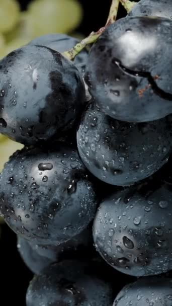 Vertical Video Cluster Black Grapes Rotates Close Backdrop Green Grapes — Stock Video
