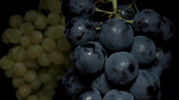 Two Types Grape Clusters Black Green Rotate Black Background Emerge — Stock Video