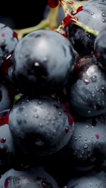 Dikey Video Kırmızı Meyve Suyu Damlayan Siyah Üzüm Kümeleri Yakın — Stok video