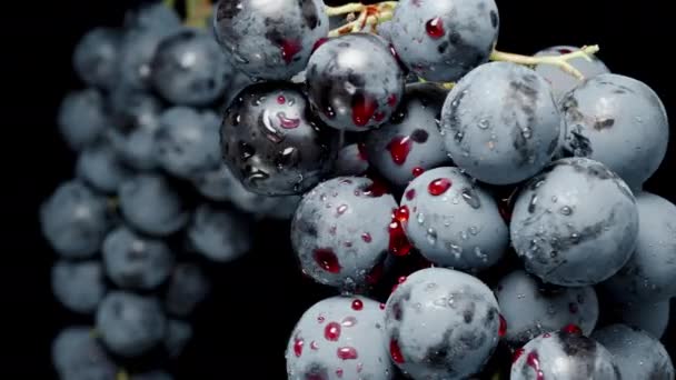 红果汁水滴覆盖的黑葡萄挂在一起 特写镜头 — 图库视频影像