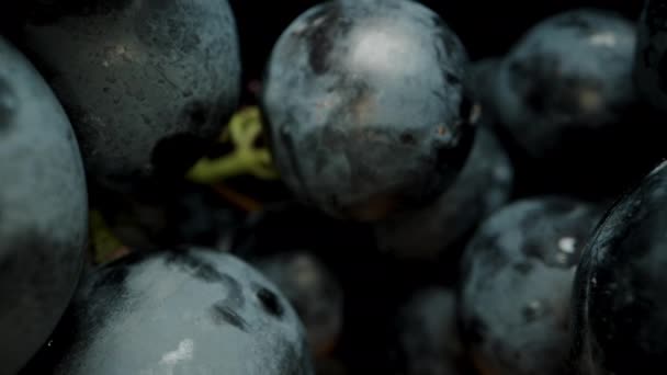 Gromady Czarnych Winogron Leżące Drewnianym Stole Czarnym Tle Jagody Niebieskie — Wideo stockowe