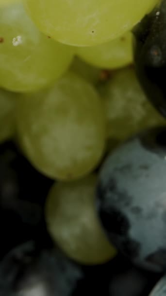Вертикальное Видео Смесь Черного Зеленого Винограда Которому Движется Камера Крайний — стоковое видео