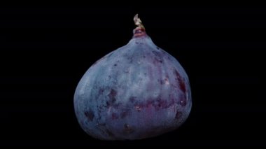 Siyah arka planda dönen yakın planda incir. Ayrı nesne.