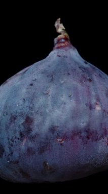 Dikey video. Siyah arka planda dönen yakın planda incir. Ayrı nesne.