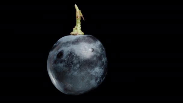 一个半圆形黑色葡萄浆果 里面有种子 在黑色背景上循环旋转 被隔离进行现场切割 — 图库视频影像