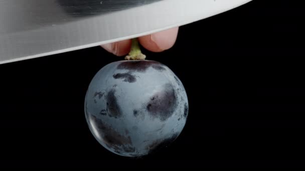 Halved Black Grape Berry Seeds Cyclically Rotating Black Background Isolated — Stock Video