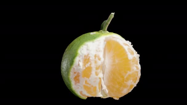 Eine Halbgeschälte Mandarine Mit Grüner Schale Ein Segment Bereits Verzehrt — Stockvideo