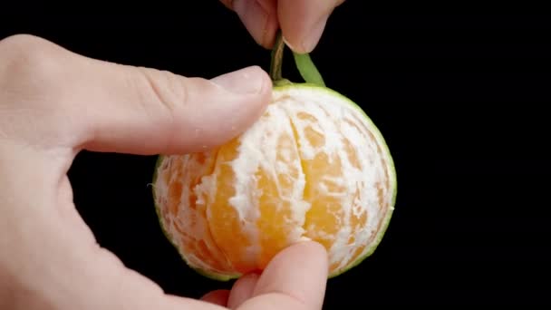 Pak Een Stuk Van Tangerine Terwijl Het Bij Stengel Vasthoud — Stockvideo