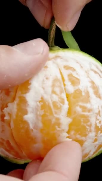 Vídeo Vertical Extraio Segmento Tangerine Segurá Pelo Caule Fundo Preto — Vídeo de Stock
