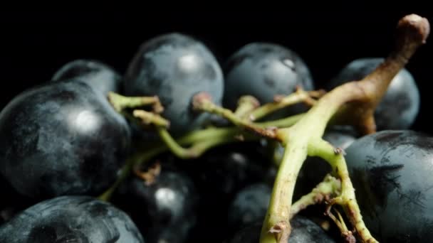 Gromada Czarnych Winogron Dużymi Okrągłymi Ciemnoniebieskimi Jagodami Obraca Się Czarnym — Wideo stockowe