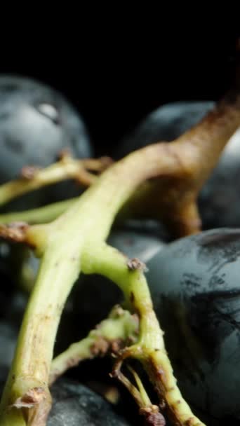 垂直录像 一丛生的黑葡萄 大而圆的深蓝色浆果 在黑色的背景上旋转 多利滑翔机极端特写 — 图库视频影像