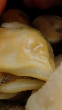 Dikey video. Dondurulmuş ve temizlenmiş midyeleri tek tek seçip alıyorum. Dolly kaydırıcı aşırı yakın çekim.