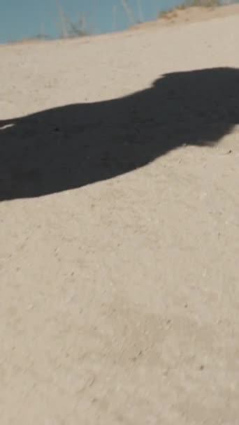 Vídeo Vertical Uma Sombra Uma Mulher Caminhando Vale Das Imaginações — Vídeo de Stock