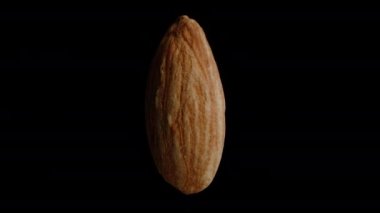 Bir bademi yakın plan, siyah bir arkaplanda dönüyor, video döngüsü. Ekleme için izole edildi.