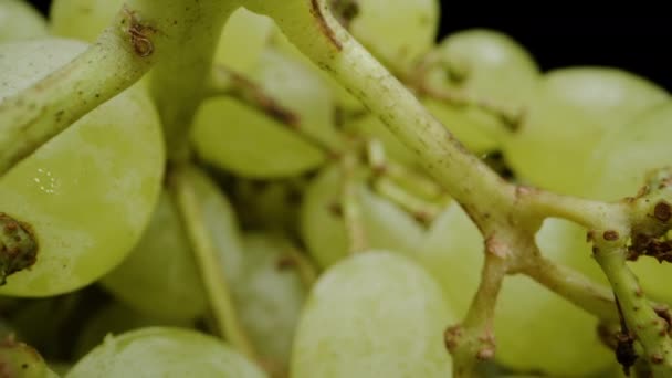 Intérieur Clusters Green Grapes Caméra Retire Dolly Slider Extrême Gros — Video