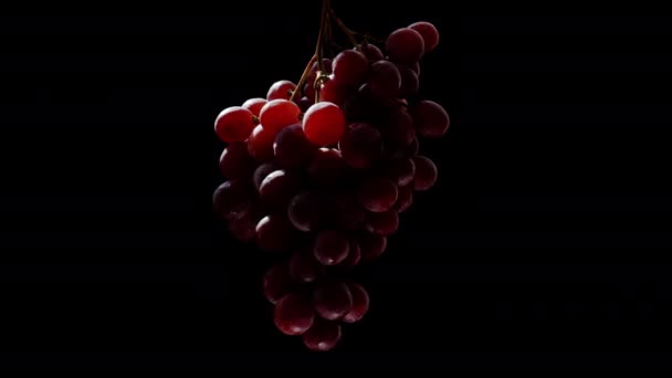 Чёрном Фоне Солнечный Луч Освещает Грань Виноградника Красными Ягодами Крупный — стоковое видео