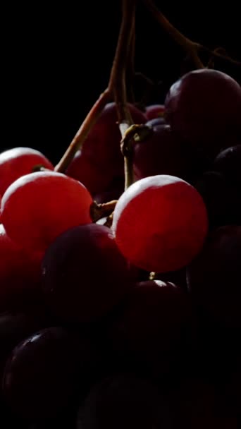 Vertical Video Close Cluster Red Grapes Sunbeam Softly Illuminating Black — Stock Video
