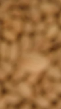 Dikey video. Çerezlerin Arkaplanına Karşı Yukarıdan Aşağı Görünümlü Dönen Badem Cevizi Üzerine Yavaşça Odaklanma.