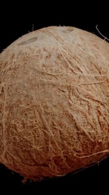 Dikey video. Kıllı bir hindistan cevizi yakın plan, döndürme ve izole edilmiş siyah arkaplan ile döngülü video.