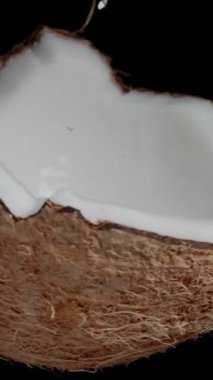 Dikey video. Hindistan cevizi sütü damlaları, yarım hindistan cevizine damlayan meyve suyu siyah arka planda dönüyor, yavaş çekimde..