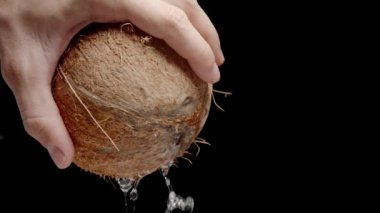 Sütü son damlasına kadar akarken bir adam bir hindistan cevizini düzenli olarak tutar. Kesmek için İzole edilmiş Arkaplanda Yavaş Hareket.