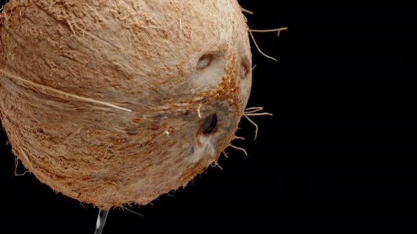 그것에서 떨어지는 코코넛 우유와 배경에 코코넛 배경에 절단을위한 비디오 — 비디오