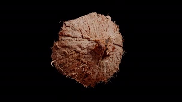 Ένα Βίντεο Από Ένα Τριχωτό Καφέ Κομμάτι Μιας Σπασμένης Καρύδας — Αρχείο Βίντεο