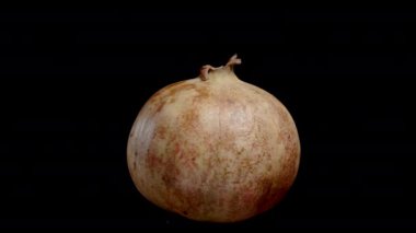 Beyaz tohumlu nar, izole edilmiş, döngülü video. Arkaplan kaldırma için uygun.