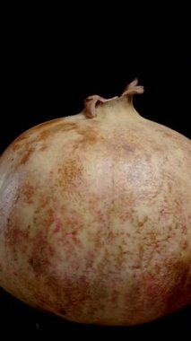 Dikey video. Beyaz tohumlu nar, izole edilmiş, döngülü video. Arkaplan kaldırma için uygun.