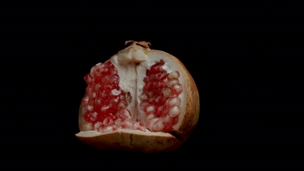 Variety Pomegranate White Transparent Seeds Isolated Looped Video Suitable Background — Stock Video
