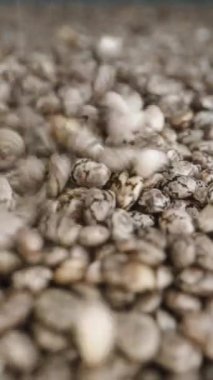 Dikey video. Chia Tohumları yukarıdan düşüyor, bir yığın oluşturuyorlar. Dolly kaydırıcı aşırı yakın çekim.