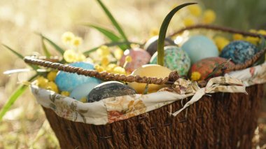 Ormandaki ağaçların arasından geçen güneş ışınları Paskalya yumurtalarının otların üzerinde durduğu bir sepetin üzerine düşüyor..