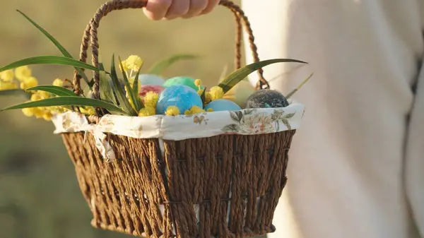 Güneşli bir sabah, bir kadın elinde bir sepet boyalı Paskalya yumurtasıyla ormanda yürüyor. Yakın plan..