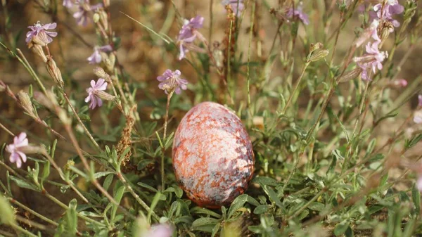A Violet Easter Egg Hidden Amongst Flowers, Close-up, on a Sunny April Day.