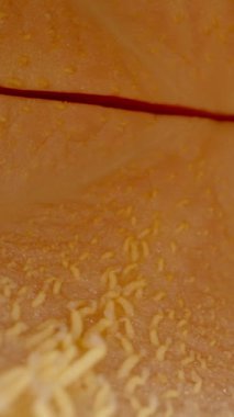 Dikey video. Tohumsuz bir Papaya 'nın içinde. Dolly kaydırıcı aşırı yakın çekim.