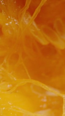 Dikey video. Balkabağının içinde tohumlar olan sulu posa örümcek ağına benzeyen dokuma iplikleri. Dolly kaydırıcı aşırı yakın çekim.